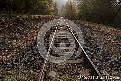 Straight rail tracks passing through the middle of the forest Stock Photo