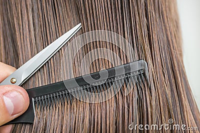 Straight wet hair with comb and scissors - hair care concept Stock Photo