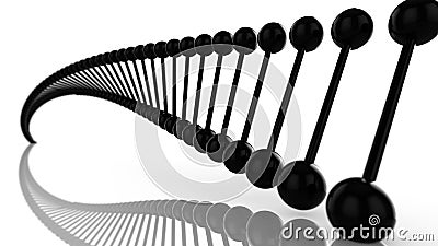 Strain with black genes rotating Stock Photo