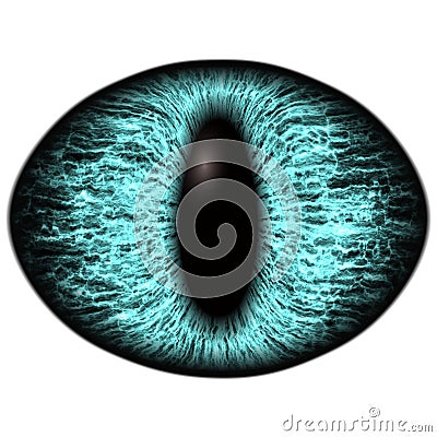 Strange blue eye of feline animal with colored iris. Detail view into isolated predator eye bulb Stock Photo