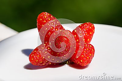 Strange funny imperfect fresh juicy strawberries, unusual organic strawberries, trendy ugly food. Mutated strawberry Stock Photo
