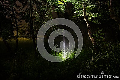 Strange silhouette in a dark spooky forest at night, mystical landscape surreal lights with creepy man Stock Photo