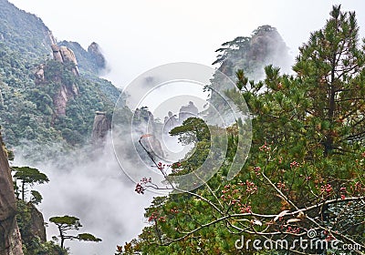 Fairyland-like Sanqing Mountain Stock Photo