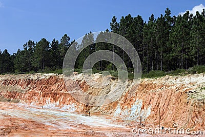 Strata of rock and dirt with trees Stock Photo