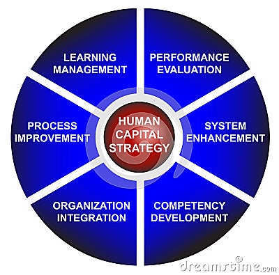 Strategy Business Diagram - Vector Stock Photo