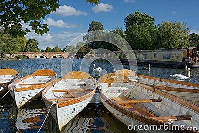 Stratford-upon-Avon. Swans and rowing boats Editorial Stock Photo