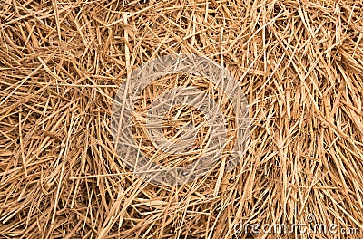 Straw background Stock Photo