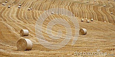 Straw Bales Stock Photo