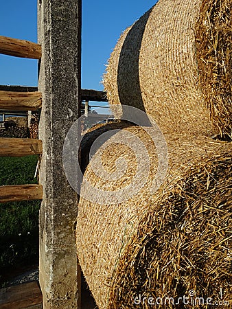 Straw bales in a hayrack Stock Photo