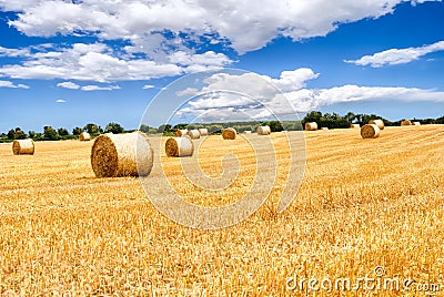 Straw bales in irish countryside Stock Photo