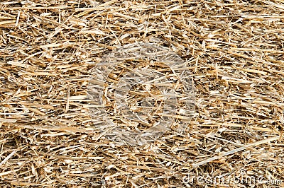 Straw closeup Stock Photo