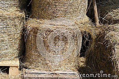 The straw finds new life in green building. Stock Photo