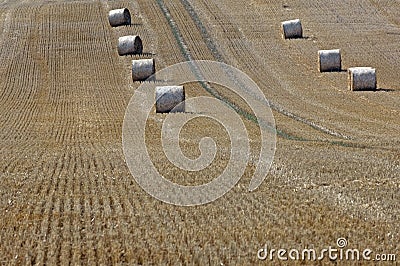 Straw on a grainfield Stock Photo