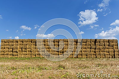 Straw or hay stacked in a field after harvesting. Straw bale wall. Stock Photo