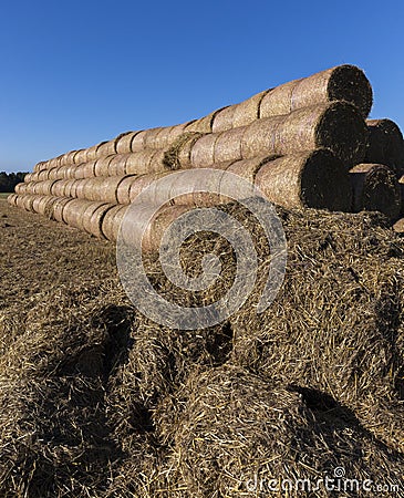 straw huge Stock Photo