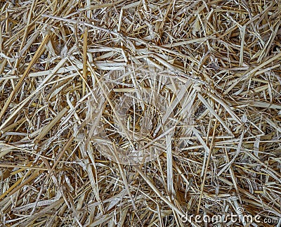 Straw on a pile in a warehouse Stock Photo