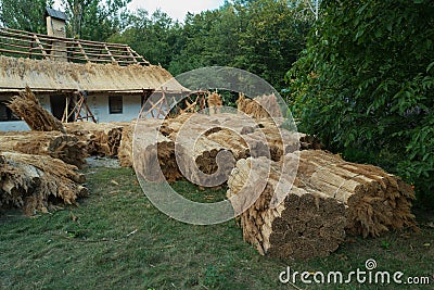 Straw prepared for repair of traditional thatched roof. Ukraine Stock Photo