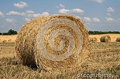 Straw ricks on the field Stock Photo