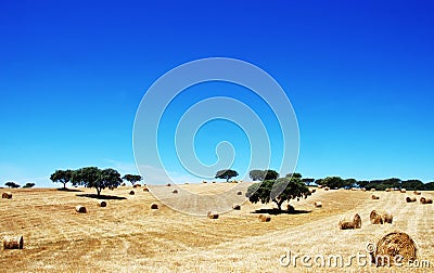 Straw roll in south of Portugal Stock Photo