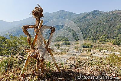 Straw scarecrow keeping watch Stock Photo