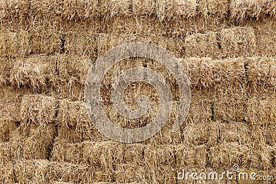 Straw, straw block cube background, dry straw backdrop. straw cube wall background Stock Photo