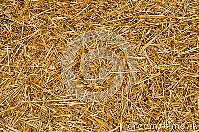 Straw texture Stock Photo