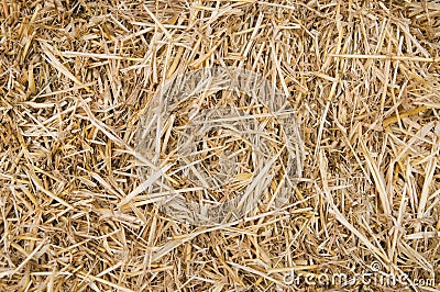 Straw Texture Stock Photo