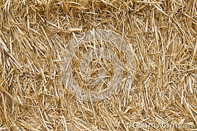 Straw texture Stock Photo