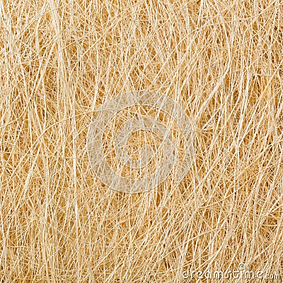 Straw texture Stock Photo