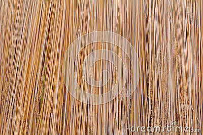 Straw texture of the roof background design Stock Photo