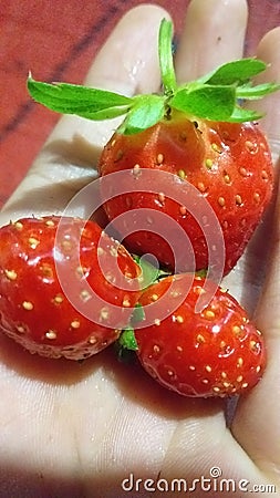 Strawberri on my hand and sweet time jungle Stock Photo