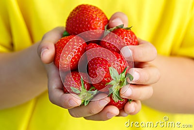 Strawberries berry fruits strawberry berries fruit summer hands Stock Photo