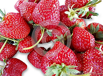 Strawberries collected fresh from the farm Stock Photo