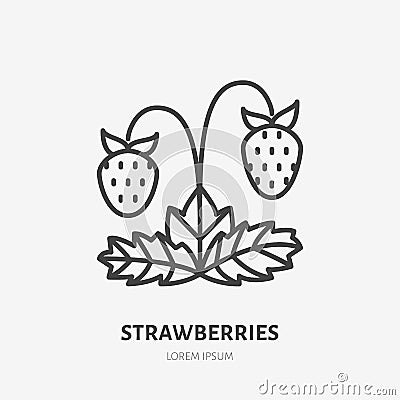 Strawberries flat line icon, forest berry sign, healthy food logo. Illustration for natiral food store Vector Illustration