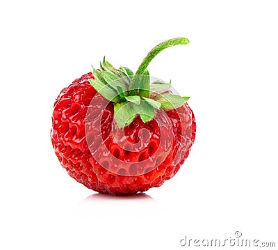 Strawberries, Fragaria berry Stock Photo