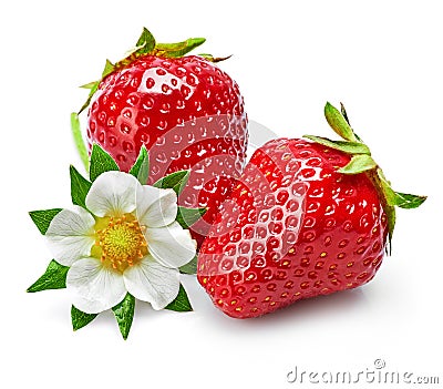 Strawberries with green leaf and flowers isolated Stock Photo