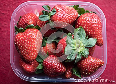 Strawberries in plastic basket Stock Photo