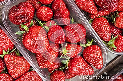 Punnets of strawberries Stock Photo