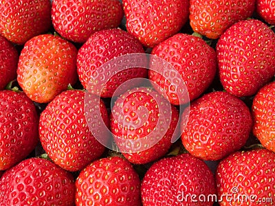 Strawberries row ordered box Stock Photo