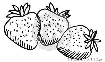 Strawberries sketch. Sweet summer berries drawn icon Vector Illustration