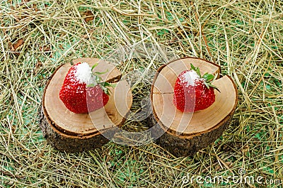 Strawberries on the stump, sprinkled with sugar. Stock Photo