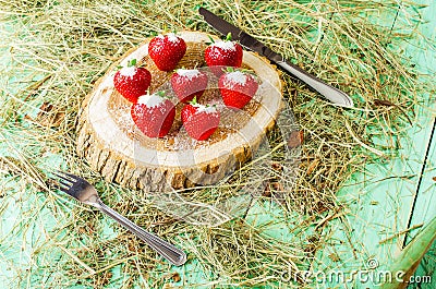 Strawberries on the stump, sprinkled with sugar. Stock Photo