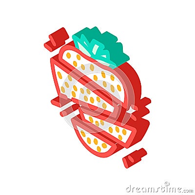 strawberries whole cut pieces isometric icon vector illustration Cartoon Illustration