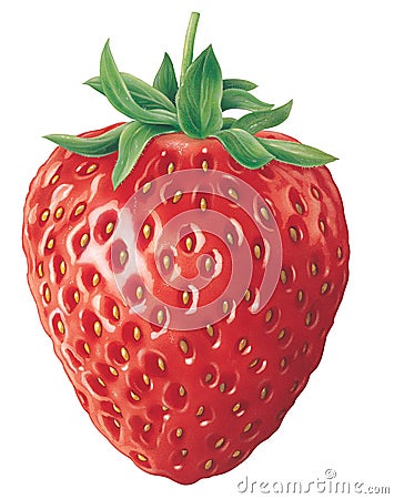 Strawberry Cartoon Illustration