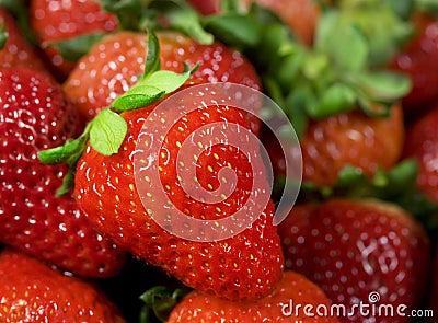 Strawberry Stock Photo