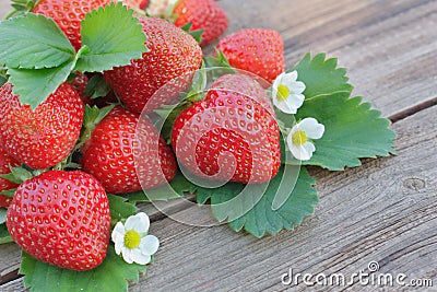 Strawberry Stock Photo