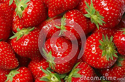 Strawberry Stock Photo