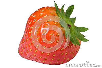 Strawberry Stock Photo