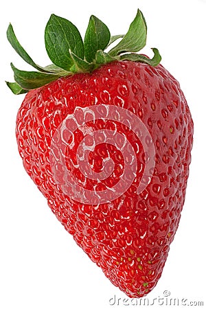 Strawberry Stock Photo