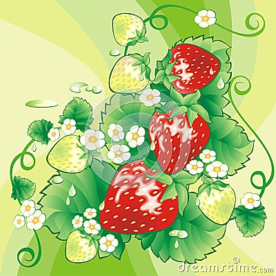 Strawberry background Vector Illustration